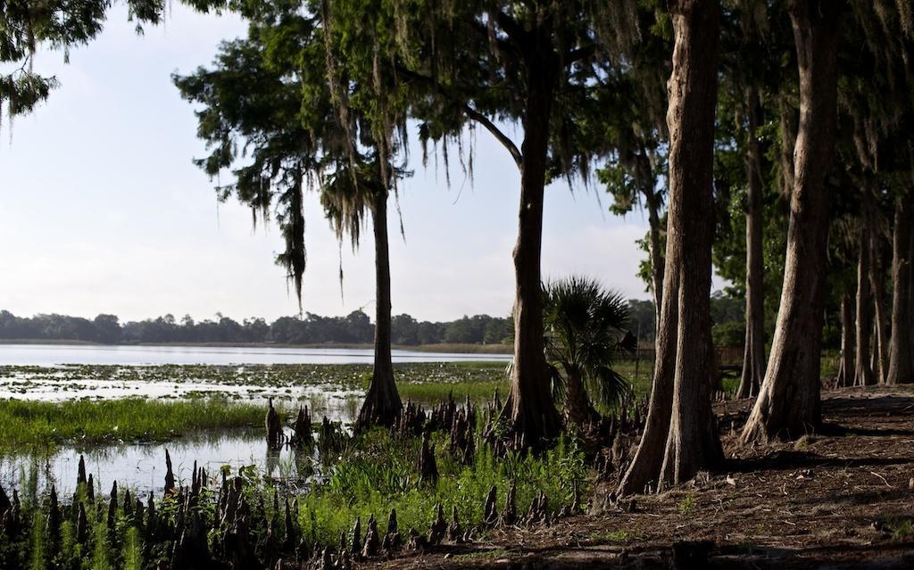 Star Island Resort And Club - Near Disney Kissimmee Eksteriør bilde